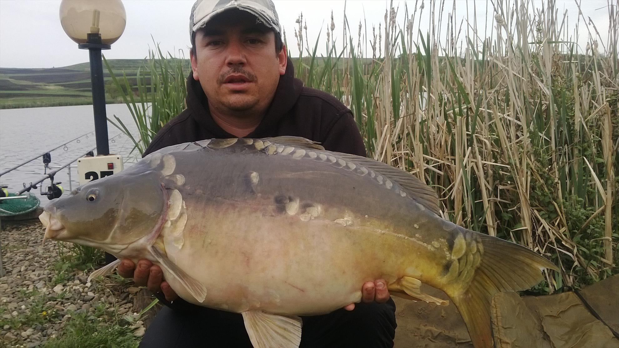 cristi - wp20140425002.jpg